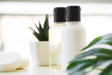 Kozmetik ve sağlık ürünleri. Spa natürmort gül çiçekleri ve temel yağlar ile.