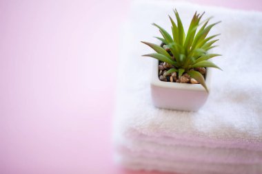 Spa. Beyaz Pamuk Spa banyo pembe bir arka plan üzerinde kullanımda havlu. Havlu kavramı. Otel ve masaj salonları için fotoğraf. Saflık ve yumuşaklık. Havlu Tekstil.