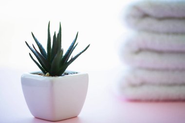 Spa. Beyaz Pamuk Spa banyo pembe bir arka plan üzerinde kullanımda havlu. Havlu kavramı. Otel ve masaj salonları için fotoğraf. Saflık ve yumuşaklık. Havlu Tekstil.