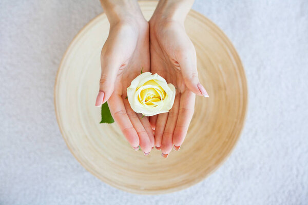 Spa Treatments. Woman Hold Beautiful Flower in Her Hands.