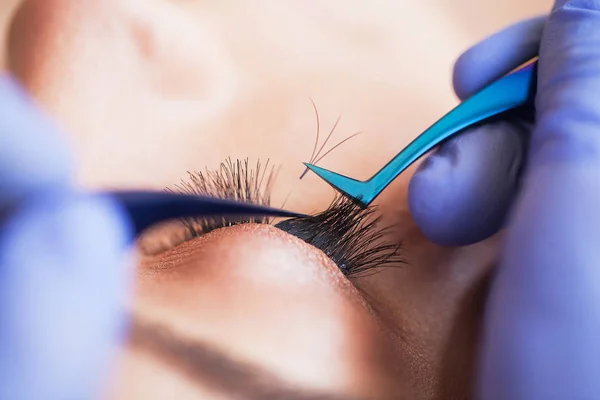 엘러 쉬 엑스 테. 가짜 Eyelashes. Eyelash Extension Procedure. 직업적 인 스타일리스트가 여성의 띠를 길게 늘인다. 미용실의 주인이자 고객 — 스톡 사진