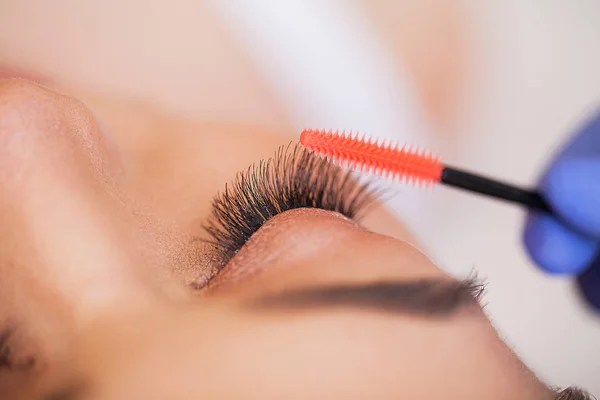 엘러 쉬 엑스 테. 가짜 Eyelashes. Eyelash Extension Procedure. 직업적 인 스타일리스트가 여성의 띠를 길게 늘인다. 미용실의 주인이자 고객 — 스톡 사진