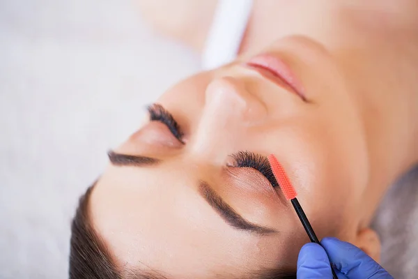 엘러 쉬 엑스 테. 가짜 Eyelashes. Eyelash Extension Procedure. 직업적 인 스타일리스트가 여성의 띠를 길게 늘인다. 미용실의 주인이자 고객 — 스톡 사진