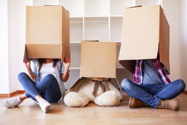 Yeni ev. Komik genç çift zevk ve yeni eve taşıdıktan kutluyor. Boş oda mutlu çifte yeni ev