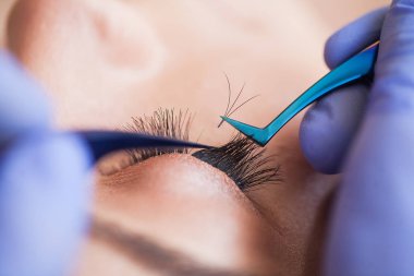 Kirpiklerini uzat. Sahte kirpikler. Kirpik uzatma prosedürü. Profesyonel stilist, kadın kirpiklerini uzatıyor. Usta ve bir müşteri güzellik salonunda.