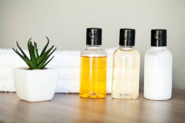 Spa rahat ve sağlıklı bakım. Sağlıklı kavramı. Cilt bakımı için doğal yerli ürünleri