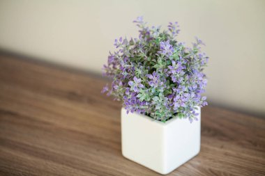 Spa. Modern banyopencere çıkıntısı üzerinde sulu bitki