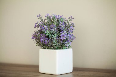 Spa. Modern banyopencere çıkıntısı üzerinde sulu bitki