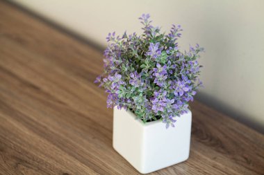 Spa. Modern banyopencere çıkıntısı üzerinde sulu bitki