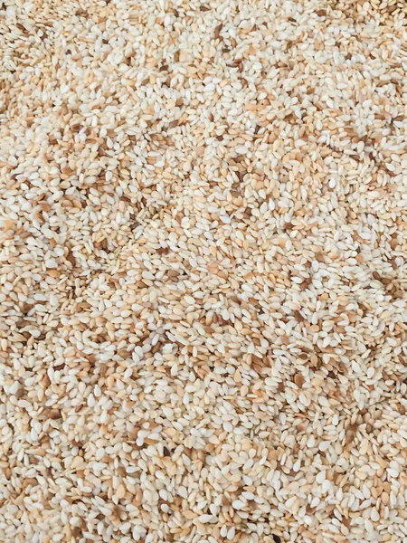 Toasted white sesame seeds full frame background — Stock Photo, Image