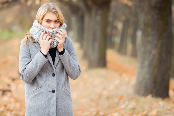 Dingin dan flu. Wanita muda dalam mantel abu-abu berjalan di taman musim gugur dan menghangatkan tangan beku — Stok Foto