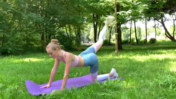 फिटनेस महिला हिरव्या लॉनवर व्यायाम करत आहे . — स्टॉक व्हिडिओ