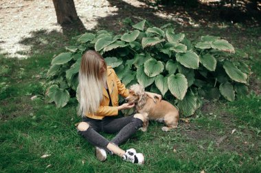 Köpek ile genç kız parkta yürür ve güzel yaz günü sahiptir.