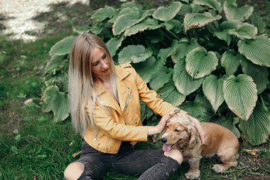 Köpek ile genç kız parkta yürür ve güzel yaz günü sahiptir.