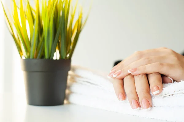 Belle unghie delle donne con manicure francese, in studio di bellezza — Foto Stock