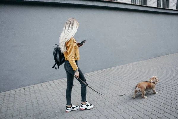 Шум и винтажный стиль. Девушка с собакой гуляет по парку и наслаждается прекрасным летним днем — стоковое фото