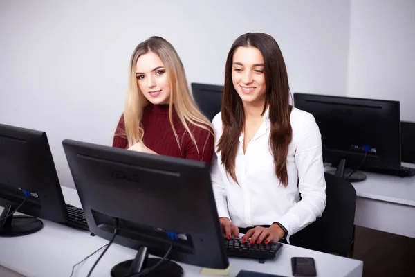 Two beautiful girls work in the office of a consulting company — Stock Photo, Image