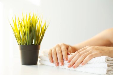 Çivilerin umurunda. Güzel kadınlar manikürlü manikürlü manikürlü, güzellik salonunda.