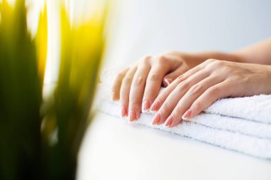 Çivilerin umurunda. Güzel kadınlar manikürlü manikürlü manikürlü, güzellik salonunda.