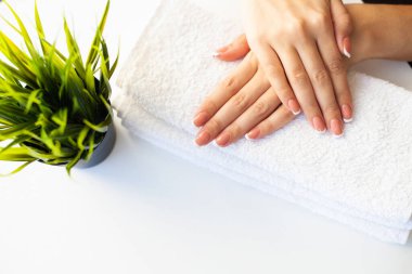 Çivilerin umurunda. Güzel kadınlar manikürlü manikürlü manikürlü, güzellik salonunda.