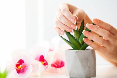 Çivilerin umurunda. Güzel kadınlar manikürlü manikürlü manikürlü, güzellik salonunda.