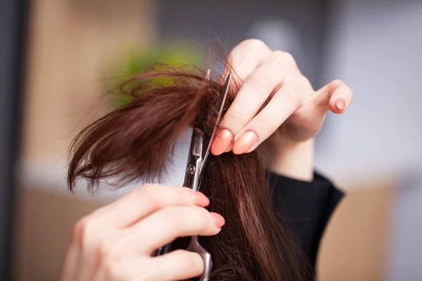 Mulher cortou as pontas do cabelo em um estúdio de beleza — Fotografia de Stock