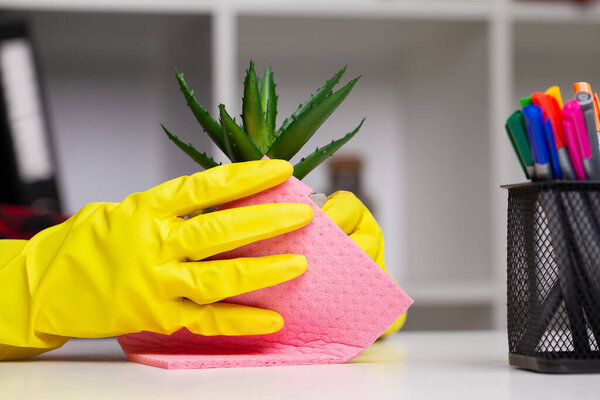 An employee of a cleaning company cleans the office and takes care of the plants