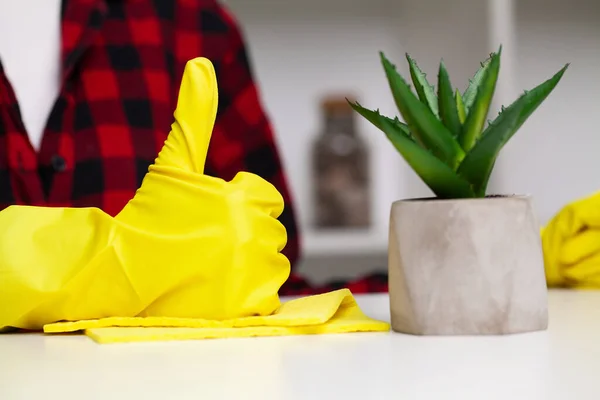 Un empleado de una empresa de limpieza limpia la oficina y se encarga de las plantas —  Fotos de Stock