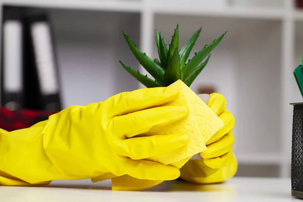 Κοντινό πλάνο του καθαριστή σε κίτρινα γάντια σκουπίζει σκόνη στο γραφείο — Φωτογραφία Αρχείου
