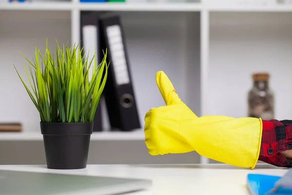 Vrouw zorgt voor planten op de werkplek in het kantoor — Stockfoto