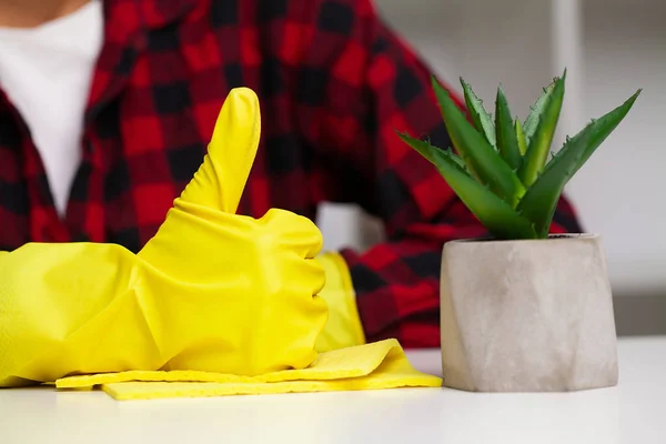 Vrouw zorgt voor planten op de werkplek in het kantoor — Stockfoto