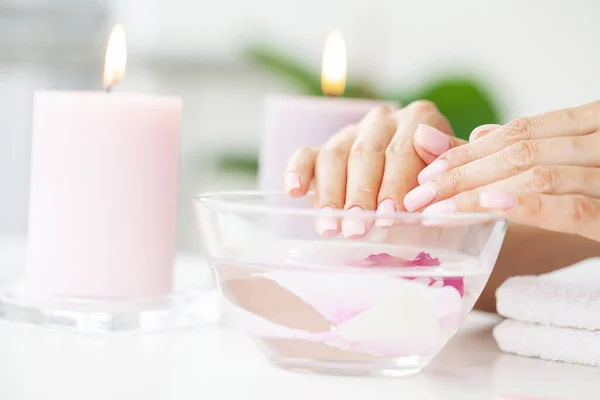 La imagen de las manos femeninas con manicura perfectamente hecha. —  Fotos de Stock