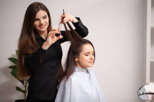 Profesjonalny fryzjer pracujący z młodą kobietą w salonie piękności. — Zdjęcie stockowe