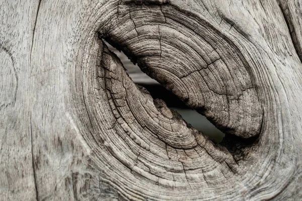 Старая Деревянная Текстура Выборочной Фокусировкой — стоковое фото