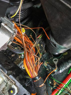 araba kablolama kemirgen hasar