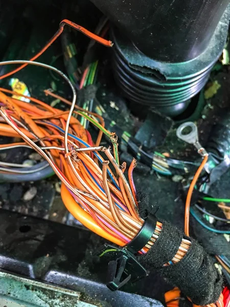 Daños de roedores en el cableado del coche — Foto de Stock