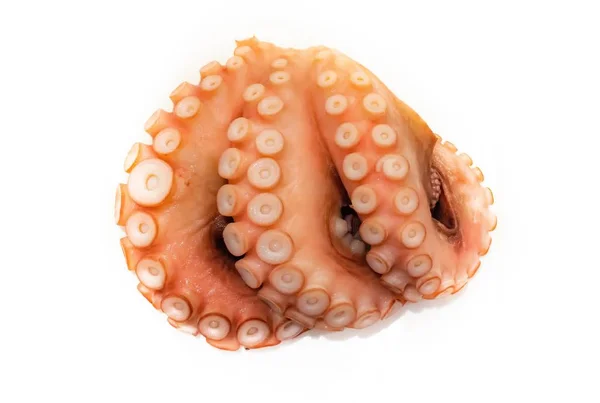 Gekookte octopus (Tako) voor sushi op witte achtergrond — Stockfoto
