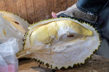 Kesme Tay taze durian ve yemeye hazır.