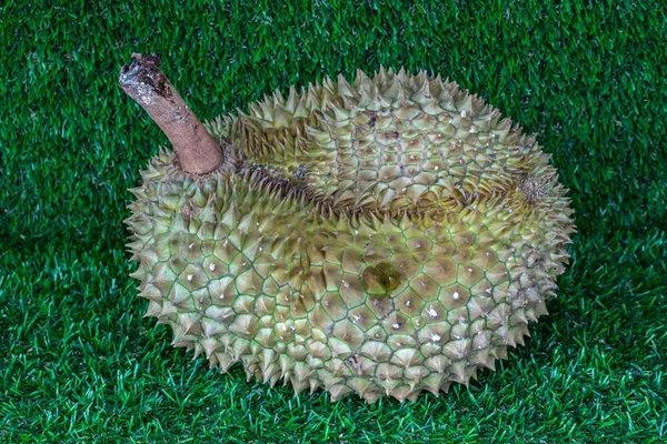 泰国新鲜榴莲在人造草背景与选择性焦点. — 图库照片