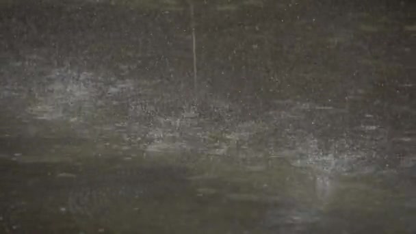 Heavy Rain Falling Eaves — Stock Video