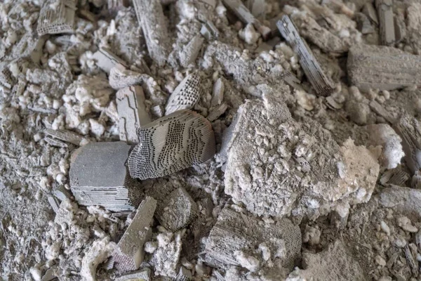 Núcleo Cada Catalisador Uma Estrutura Interna Favo Mel Cerâmico Que Fotografia De Stock