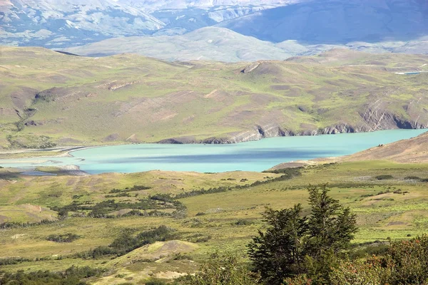 Пейзаж Вдоль Тропы Национальном Парке Торрес Дель Пейн Чилийской Патагонии — стоковое фото