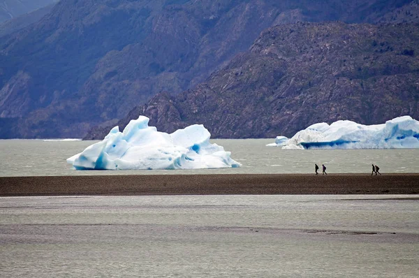 Nsanlar Önünde Buzdağları Gri Buzul Torres Del Paine Milli Parkı — Stok fotoğraf