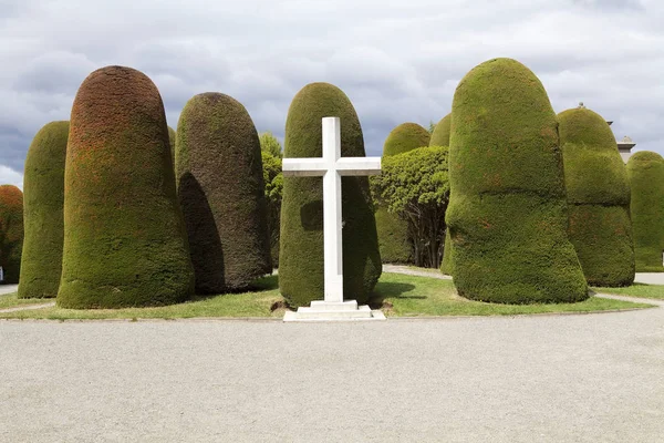 Cross Trees Municipal Cemetery Punta Arenas Chile Punta Arenas Capital — Stock Photo, Image