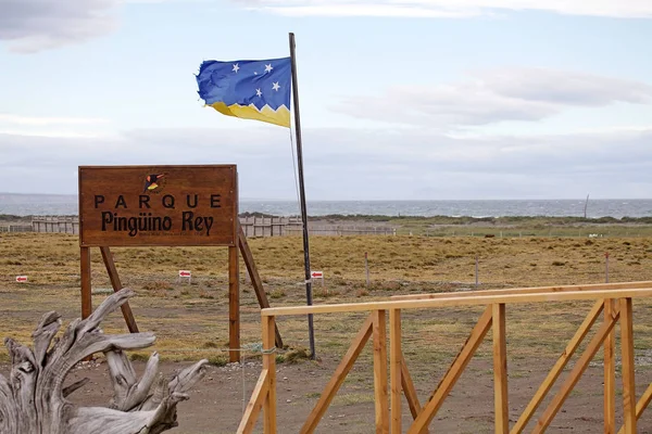 位于智利火地岛群岛火地岛的 Inutil 湾的金企鹅殖民地公园 火地岛在智利和阿根廷之间划分 — 图库照片