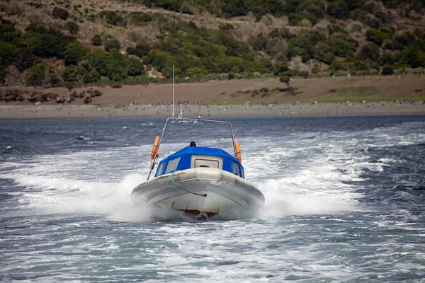 Speedboot Voor Een Eiland Het Beagle Kanaal Argentinië Beaglekanaal Een — Stockfoto