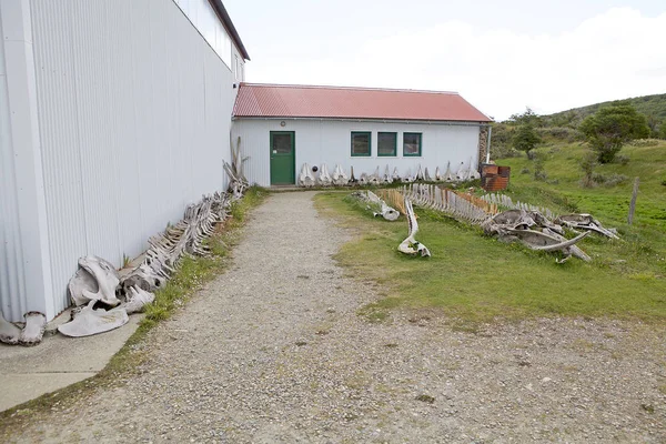 Muzeum Laboratorní Mořských Savců Estancia Haarberton Beagle Channel Tierra Del — Stock fotografie