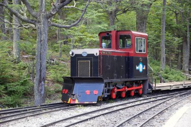 Güney Fuegian tren veya tren Tierra del Fuego, Arjantin için dünyanın sonu. Bu aslında hapishane Ushuaia özel olarak kereste taşımak için hizmet için navlun çizgi olarak inşa edilmiştir. Şimdi T bir miras tren çalışır