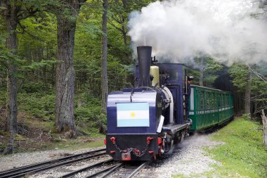 Güney Fuegian tren veya tren Tierra del Fuego, Arjantin için dünyanın sonu. Bu aslında hapishane Ushuaia özel olarak kereste taşımak için hizmet için navlun çizgi olarak inşa edilmiştir. Şimdi T bir miras tren çalışır
