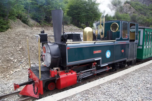 Güney Fuegian Tren Veya Tren Tierra Del Fuego Arjantin Için — Stok fotoğraf